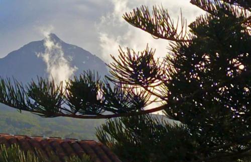 Azores Youth Hostels - Pico São Roque do Pico المظهر الخارجي الصورة